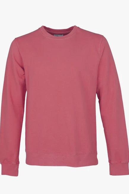 CLASSIC ORGANIC Crew | Colorful Standard